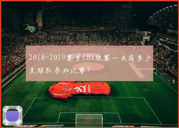2018-2019赛季CBA联赛一共有多少支球队参加比赛？