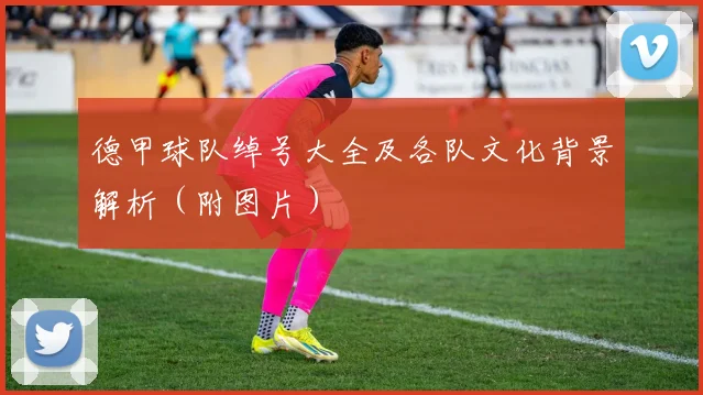 德甲球队绰号大全及各队文化背景解析（附图片）