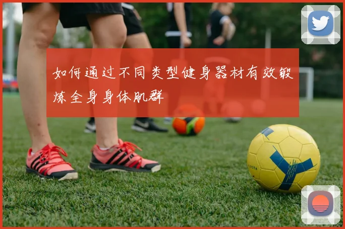 如何通过不同类型健身器材有效锻炼全身身体肌群